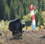Lady sååå gla