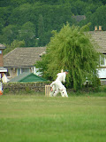 DSCF3589.JPG