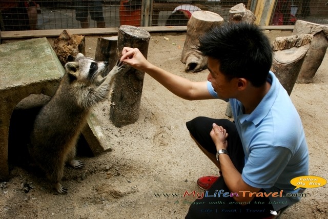 Langkawi Wildlife Park Langkawi Wildlife Park