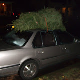 Strapped to the Honda With Care