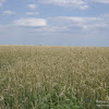 widok ze wzgórza santockiego dsc05855.jpg