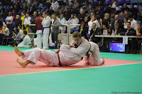 IMG_2578.jpg