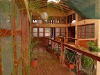Sprachaufenthalt Playa Jacó Escuela del Mundo