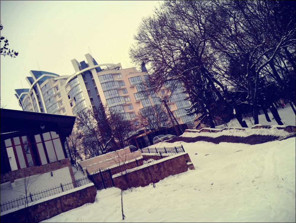 IMAG0220.jpg