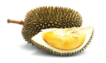 02-Durian