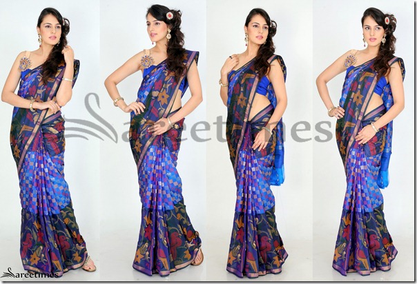 Hanika_Paryani_Saree
