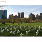 centralpark.1.jpg