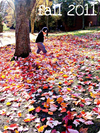 jordan fall