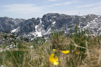 DSC03442.JPG