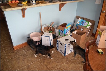 kitchen during 08 kitchen during 08