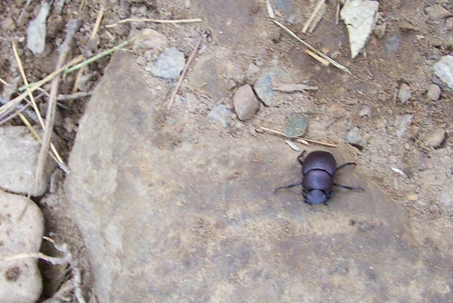 [101_9965%255B5%255D.jpg]