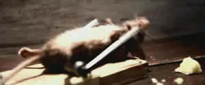 [image001%255B5%255D.gif]