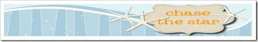 ChaseTheStar Wood Plank Banner