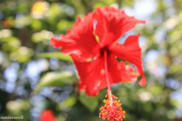 IMG_0363 IMG_0363