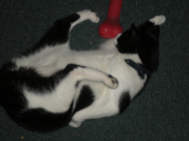 [DSCN97053.jpg]