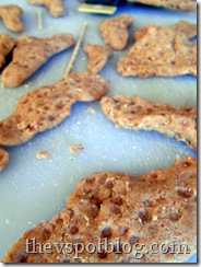 Salt dough pieces shaped like coral.