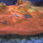 DSC_2135.jpg