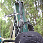 IMGP0266.jpg