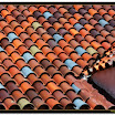 roof.jpg