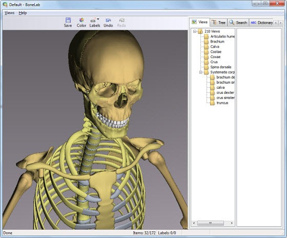 Anatomy 3d Models