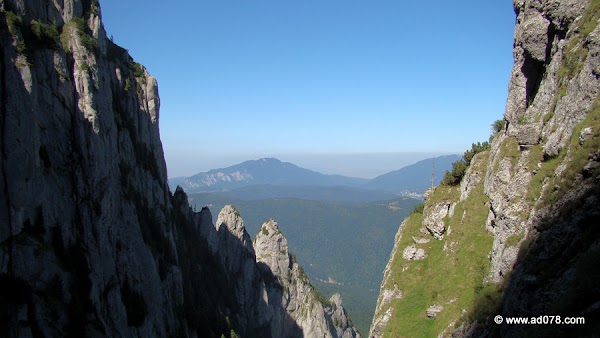 48.jpg 48.jpg