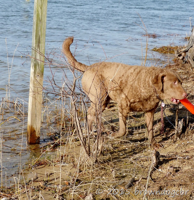 [P1320391%255B10%255D.jpg]