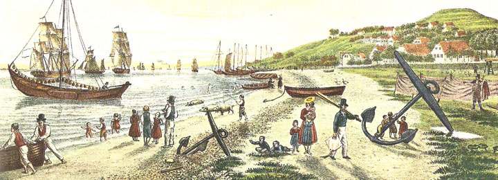 3_2_rarep_312.jpg
