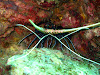  Koh Lipe Resimleri Fotoğrafları