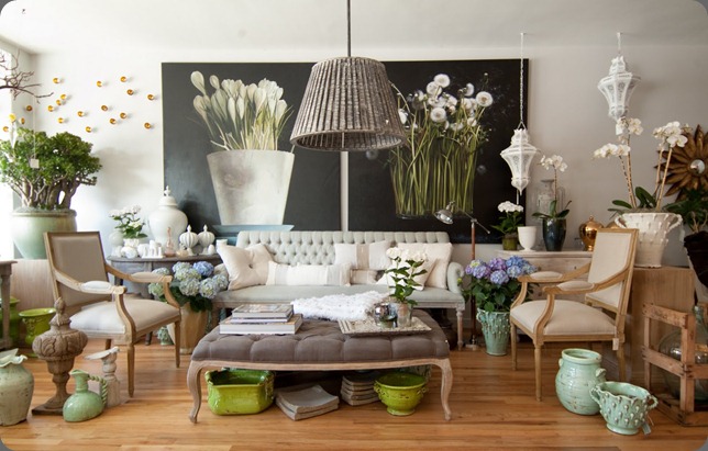 DSCF3388-2 bloom by Anuschka