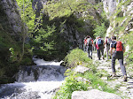 Foces do Río Pino