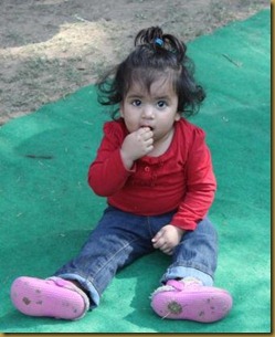 IMG_9581 IMG_9581