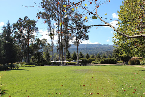 The great lawn. The great lawn.