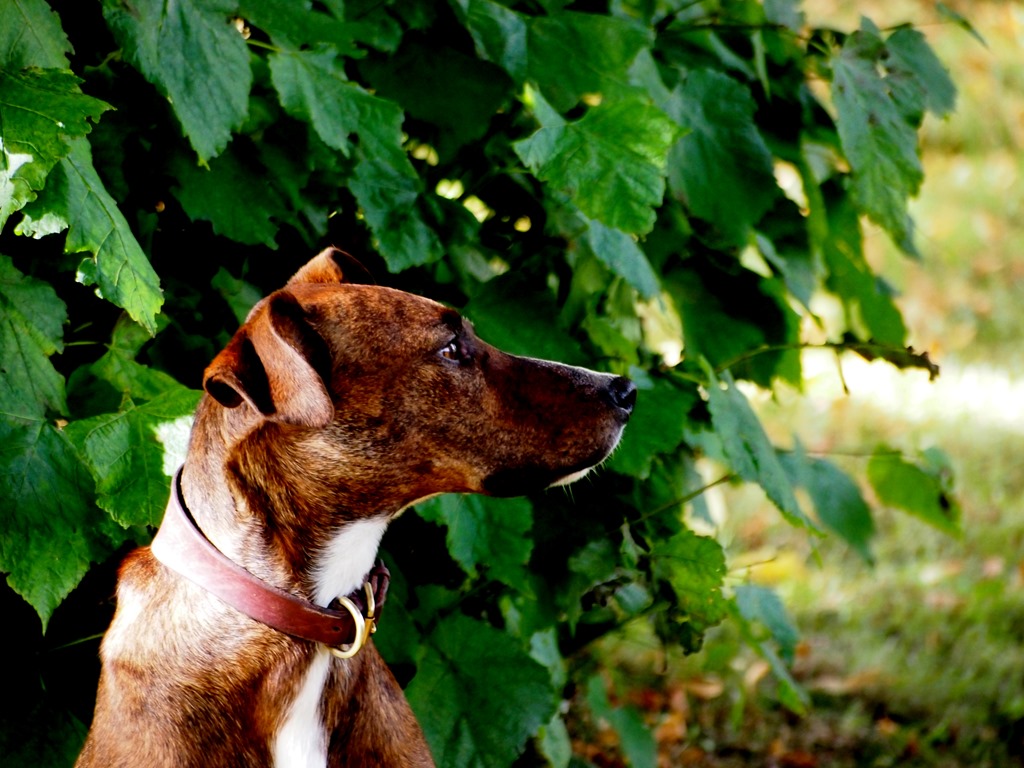 [9%2520Jan%25201%255B3%255D.jpg]