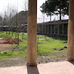 DSCN1689.JPG
