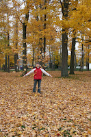 Kristy in the Autumn leaves