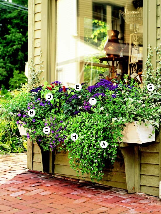 [window-box25.jpg]