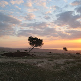 Mt Nebo - Coucher de Soleil 14.JPG