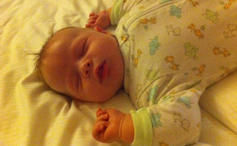 IMG_2336 IMG_2336