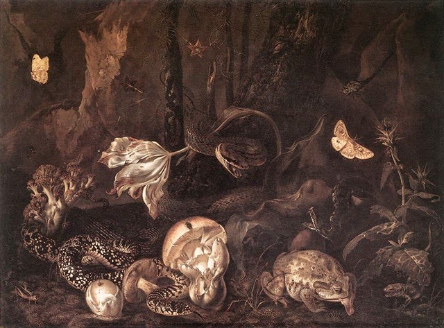[Otto_Marseus_van_Schrieck_-_Still-Life_with_Insects_and_Amphibians_-_WGA21062%255B2%255D.jpg]