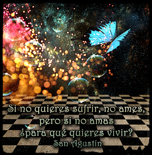 la mariposa y la estrella