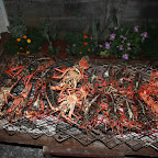 IMG_2554.JPG