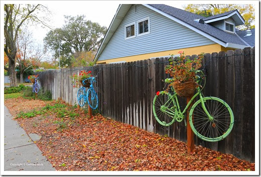 Bicycles and geraniums