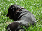 DSCF9058.JPG