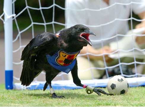 [CharlieRow5.jpg]