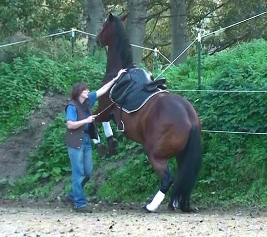 [cera-steigen%255B4%255D.jpg]
