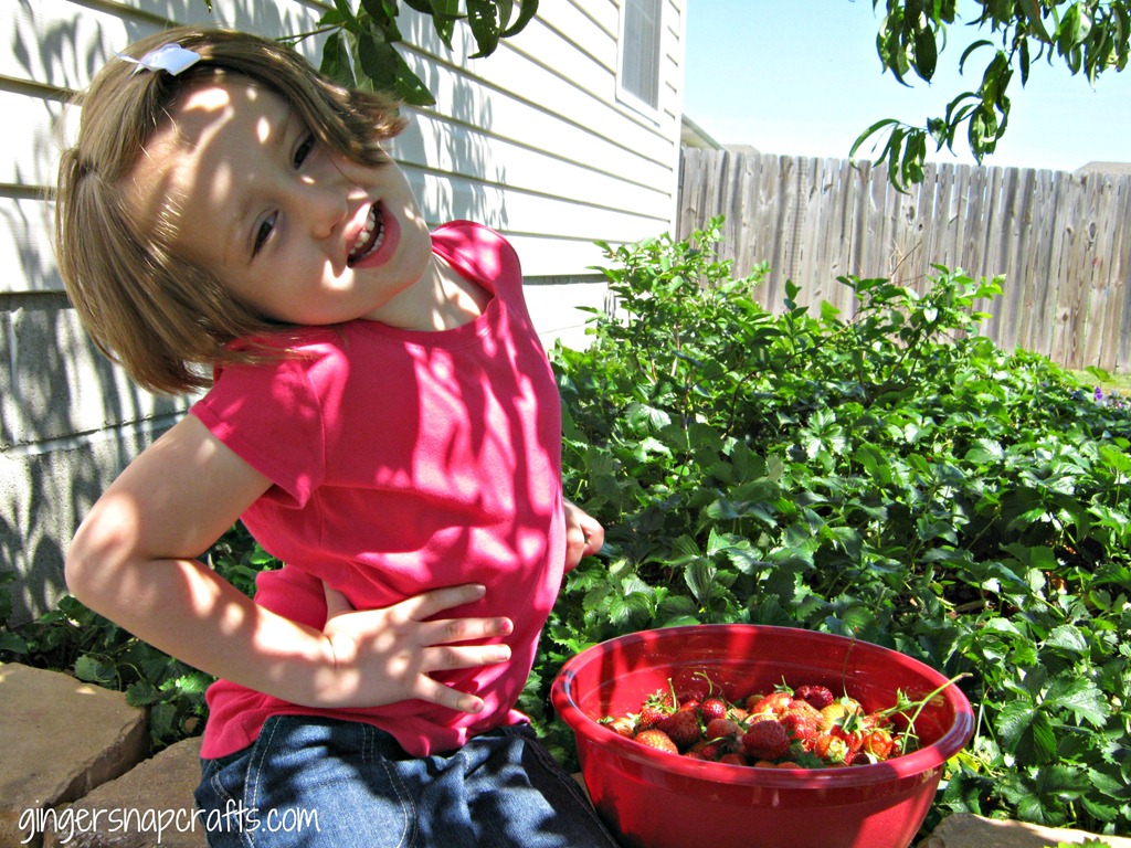 [strawberry24.jpg]
