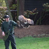 Cub Pack Holiday - Skreens Park 2012 - DSC_0141.jpg