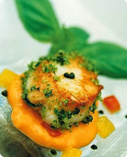 Noci di cappesante gratinate su crema di peperoni dolci e olio al basilico Noci di cappesante gratinate su crema di peperoni dolci e olio al basilico
