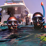 Snorkeling With Aquanature - Noumea, New Caledonia