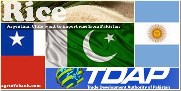 Argentina, Chile want to import rice from Pakistan Argentina, Chile want to import rice from Pakistan